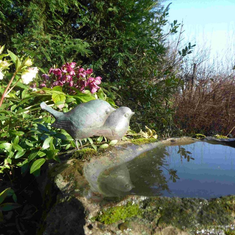 Vogelbecken