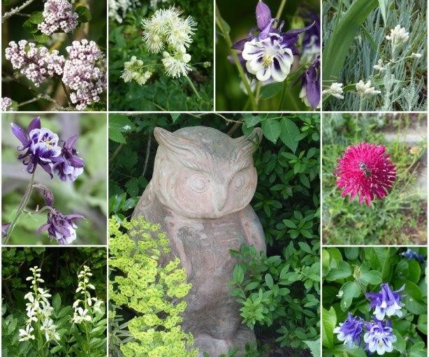Gartendekoration umgeben von Blüten
